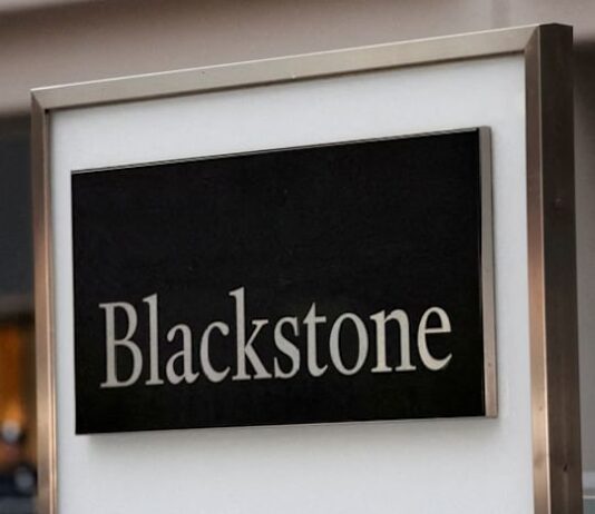 Blackstone boosts stake in AI startup Anthropic to about $1 billion, source says