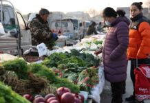 China’s producer deflation persists, consumer inflation cools in Jan