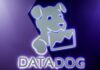 Datadog beats quarterly results estimates on AI-driven demand for cloud security