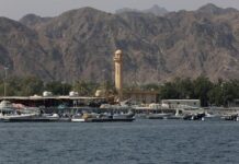 Iraqi-UAE consortium plans $700 million fast data cable network