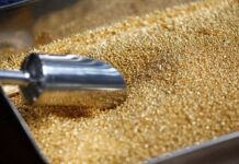 JP Morgan raises long-term gold price forecast to $4,500