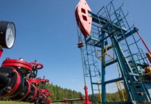 Oil falls on possible US-Iran de-escalation, firm dollar