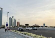 UAE foils cyber attacks, state news agency says