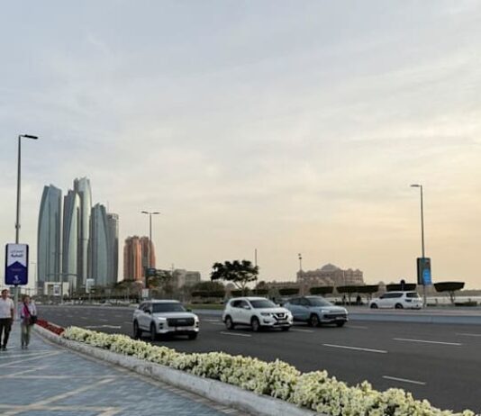 UAE foils cyber attacks, state news agency says