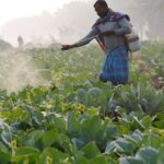 US trade chief says India to maintain some agriculture protections in deal with Trump