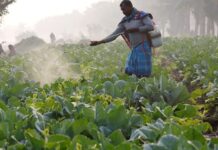 US trade chief says India to maintain some agriculture protections in deal with Trump