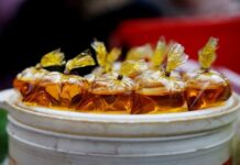 Edible oils caught between weak demand and biodiesel bets, says analyst Mistry