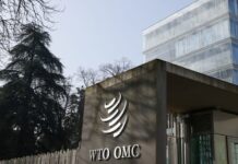 Explainer-What is the World Trade Organization e-commerce moratorium?