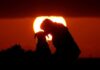 Genetic study identifies earliest-known dog, dating to 15,800 years ago
