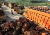 Middle East conflict could spur palm oil demand from biodiesel sector