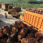 Middle East conflict could spur palm oil demand from biodiesel sector