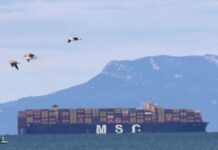 MSC to buy 50% stake in tanker giant Sinokor, Cypriot filing shows