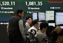 Stock plunge sparks trading halt in South Korea’s key indexes