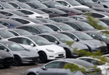 Tesla gains market in France, Norway in February