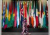 Battle-scarred developing nations look for path out of permacrisis