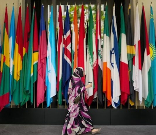 Battle-scarred developing nations look for path out of permacrisis