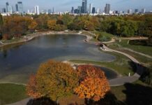 Developing countries in Europe, Central Asia face slowdown, World Bank says