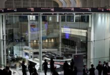 Japan’s dour IPO market unlikely to improve despite sizzling debuts of sake, pet food firms