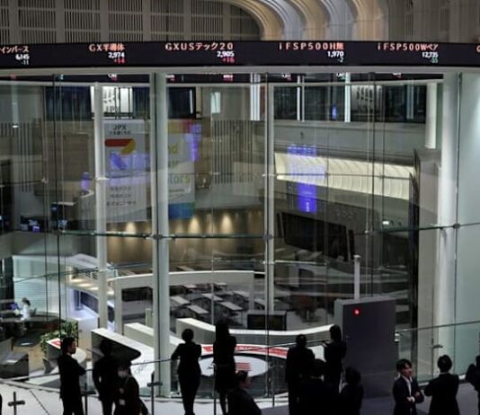 Japan’s dour IPO market unlikely to improve despite sizzling debuts of sake, pet food firms