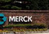 Merck to partner with Google Cloud on AI initiatives