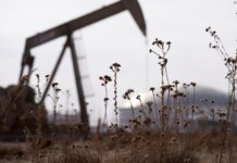 US crude futures fall $12.04 to $100.90/bbl after Trump announces two week ceasefire