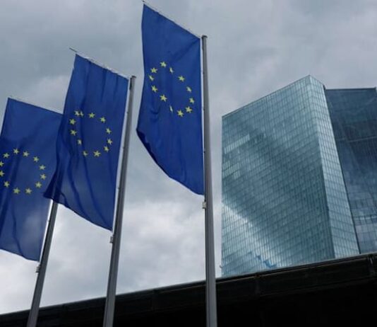 Analysis:ECB, banks rift hampers Europe’s efforts to loosen reliance on US payments giants