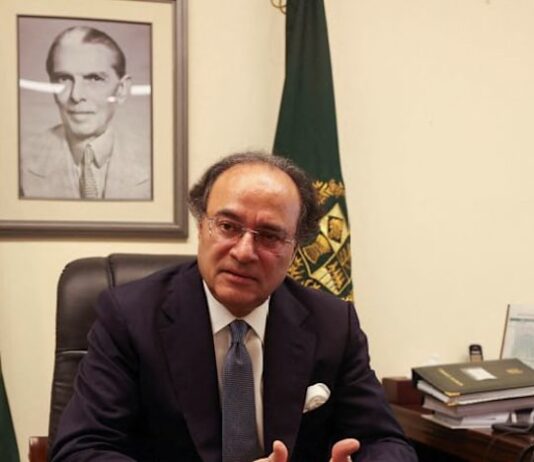 Pakistan to issue first ‘Panda bond’ next week, finance minister says