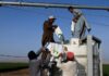 UAE fertiliser giant warns of global food impact as it turns to trucks to bypass Hormuz