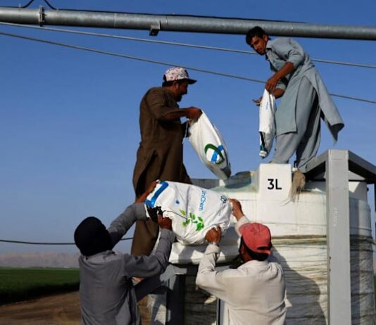UAE fertiliser giant warns of global food impact as it turns to trucks to bypass Hormuz
