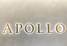 Apollo’s Athene names ex-Goldman executive as Japan head to drive reinsurance push
