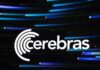 Cerebras shares climb as Wall Street brokerages back AI chip strategy