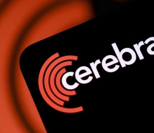 Cerebras sinks 14% as full-year margin forecast disappoints