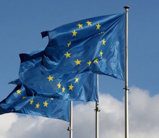 EU joins US-led ‘Pax Silica’ on securing AI, chip supply chains