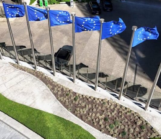 EU opens antitrust probe into Align Technology over Invisalign, scanner tying