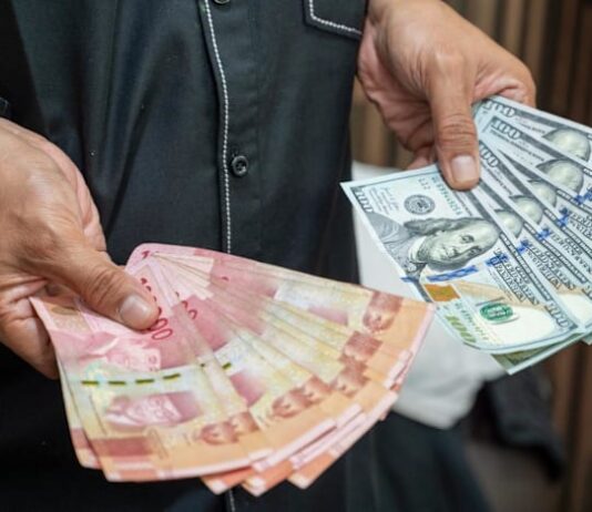 Indonesian rupiah falls to record low against US dollar