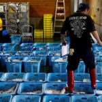 Japan May wholesale prices rise 6.3 pct yr/yr
