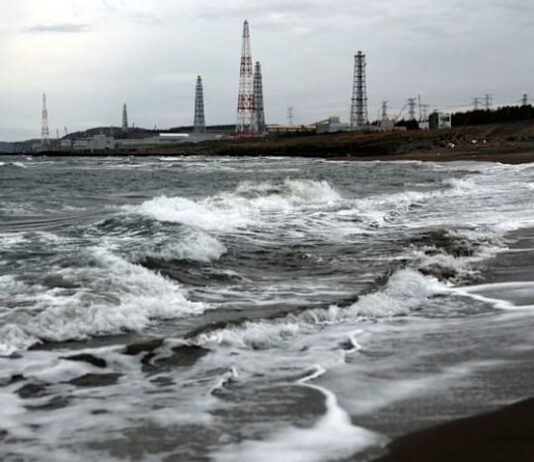 Japan utilities welcome nuclear replacement targets, seek stronger policy support