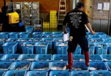 Japan wholesale inflation extends surge as energy shock hits