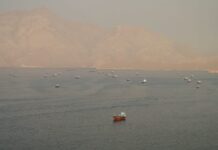 Japanese shippers await details on Hormuz reopening, mine clearance