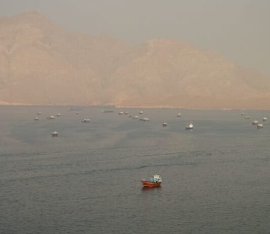 Japanese shippers await details on Hormuz reopening, mine clearance