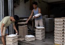 Philippines cuts 2026 growth forecast, citing graft scandal and energy crisis
