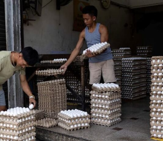 Philippines cuts 2026 growth forecast, citing graft scandal and energy crisis