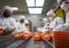 Thai May factory output falls 0.8% y/y, weaker than forecast