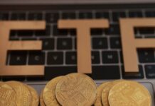 This upstart launched 35 ETFs in a day – and doesn’t plan to slow down