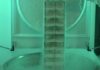 US to create genomic and cellular ‘BioVault’ for endangered species