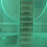 US to create genomic and cellular ‘BioVault’ for endangered species