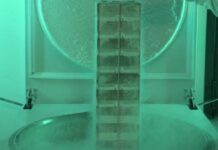 US to create genomic and cellular ‘BioVault’ for endangered species