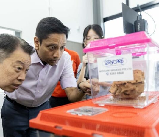 1,800 pest management workers to benefit from sustainable pay rises under Progressive Wage Model