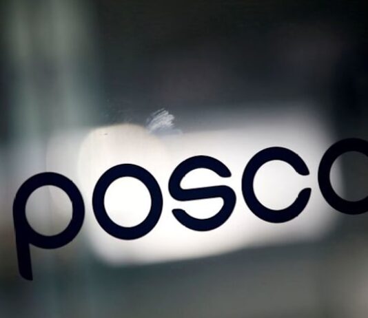 Australia’s Meteoric Resources ties up with Posco for Brazil rare earths project