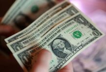 Dollar heads for weekly drop as jobs data dims Fed hike bets